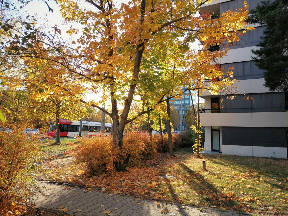 Central-Apt At Lake, Citycenter 5Min, Fair 18Min!!! Nürnberg Exterior foto
